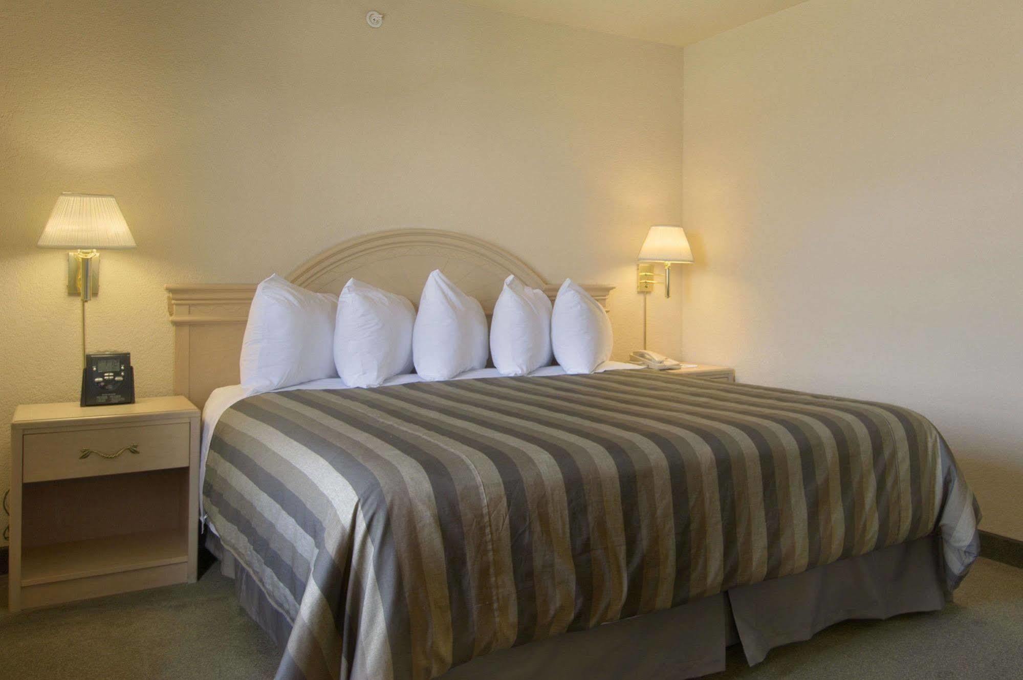 Days Inn By Wyndham Calgary Airport Oda fotoğraf